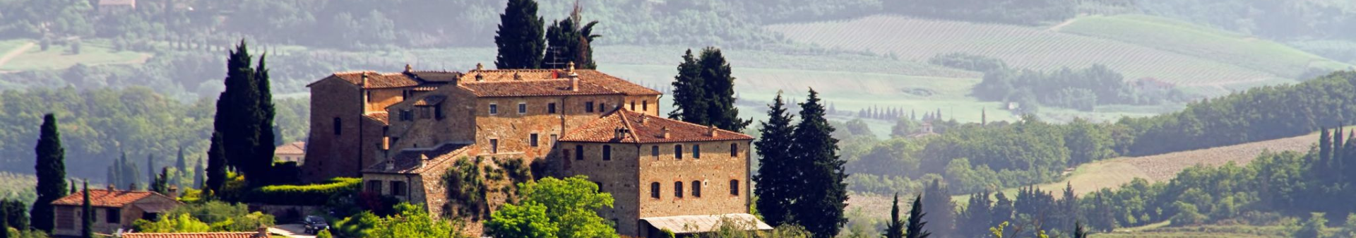イタリアワイン、イタリアン・ワイン