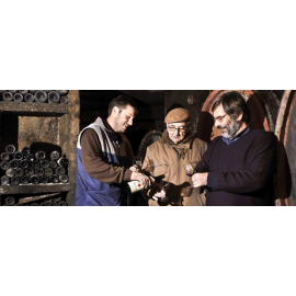 Domaine Auguste Clape