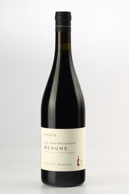 VINCENT DANCER Les Montrevenots 2020