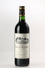 シャトー・ラフォン・ロシェ(CHÂTEAU LAFON ROCHET) 1994
