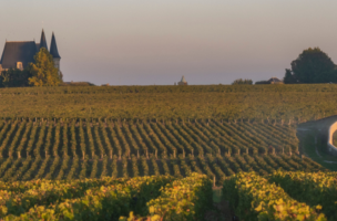 ポイヤック(Pauillac)アペラシオン