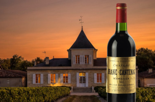 シャトー・ブラーヌ・カントナック(CHÂTEAU BRANE CANTENAC) 1995