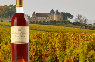 シャトー・ディケム（château yquem）1967