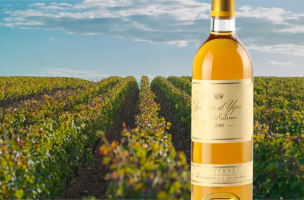 シャトー・ディケム（château d'yquem）1980