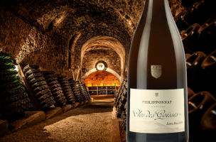 PHILIPPONNAT Clos des Goisses 2009